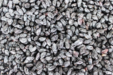 来宾Blackcurrant Raisin Wholesale