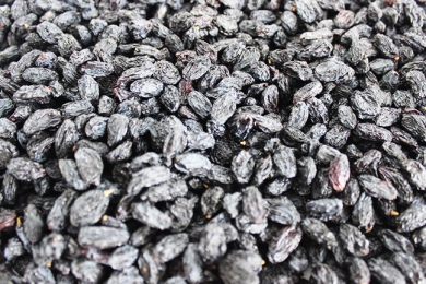 怒江Blackcurrant Raisin Manufacturer Wholesale